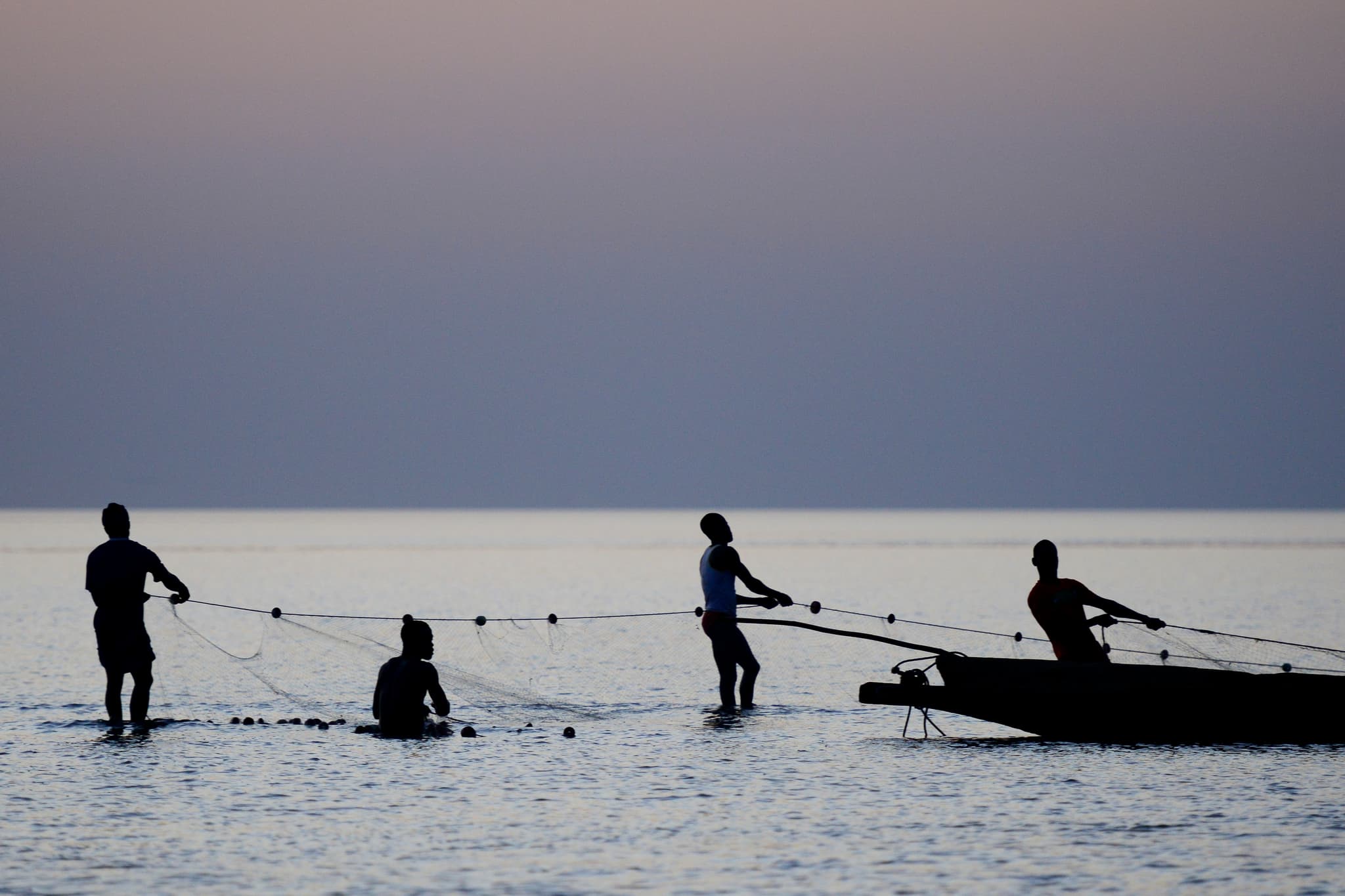 Marine ecosystem in the Bijagos Archipelago, Guinea-Bissau