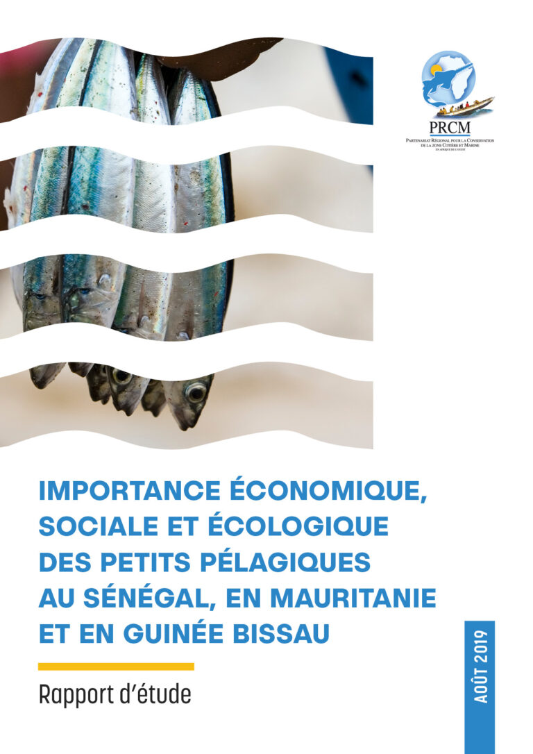 [Publication] Importance des pêcheries des petits pélagiques en Afrique de l’Ouest : le PRCM publie un nouveau rapport