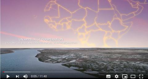 Vidéo : diffusion du film sur les oiseaux migrateurs