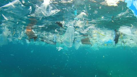 Lire la suite à propos de l’article Plastique : une pollution qui vire au désastre écologique