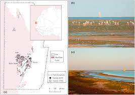 Lire la suite à propos de l’article Projet DIOE (WIACO): de la cartographie de l’utilisation des sites clés du Sénégal à la mise en place des réseaux de compteurs pour les dénombrements des oiseaux d’eau