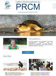 Lancement du projet régional Survie des tortues marines en Afrique de l’Ouest