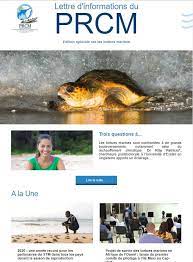 Lire la suite à propos de l’article Lancement du projet régional Survie des tortues marines en Afrique de l’Ouest