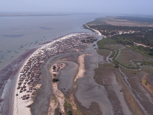 Iles tristao : Guinée écologie et ses partenaires veulent « préserver la mangrove »
