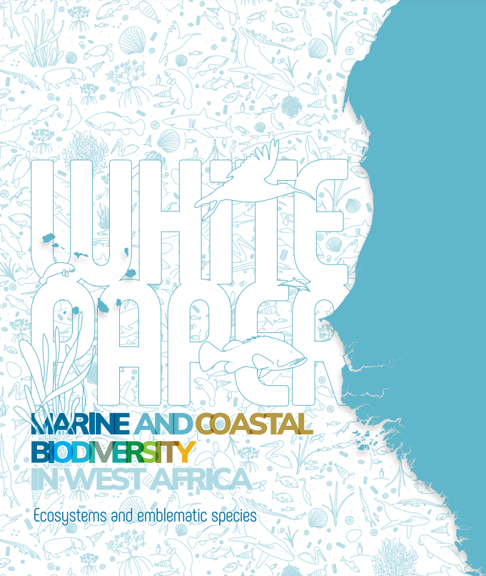 Publication of a White Paper on marine and coastal biodiversity in West Africa.