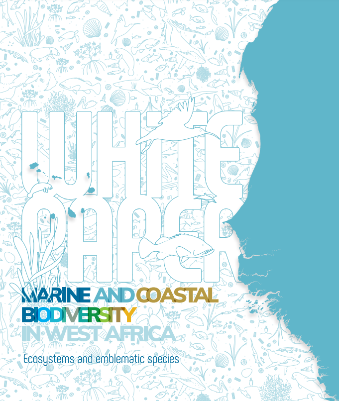 Read more about the article Publication of a White Paper on marine and coastal biodiversity in West Africa.