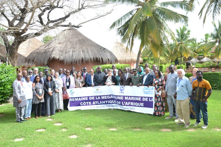 Adoption d’un Mémorandum d’accord concernant les mesures de conservation des tortues marines en Afrique de l’Ouest 