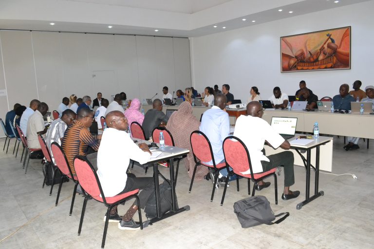 RESILAO: Sharing Experiences and Strengthening the Capacities of Project Implementers